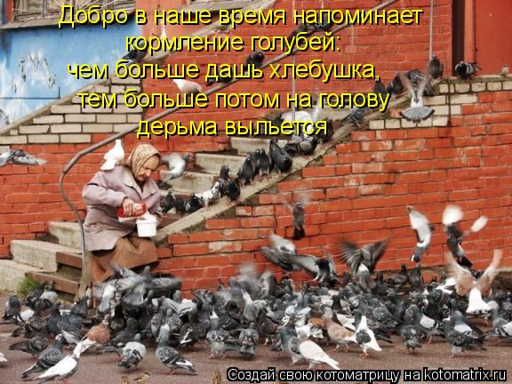 Добро в наше время напоминает кормление голубей: чем больше дашь хлебушка, тем больше потом на гол... Котоматрица: Добро в наше время напоминает кормление голубей: чем больше дашь хлебушка, тем больше потом на голову дерьма выльется