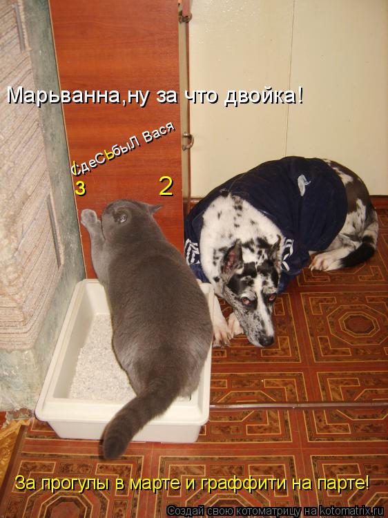 СдеС быЛ Вася / ь з 2 Марьванна,ну за что двойка! За прогулы в марте и граффити на пар... Котоматрица: СдеС быЛ Вася / ь з 2 Марьванна,ну за что двойка! За прогулы в марте и граффити на парте!