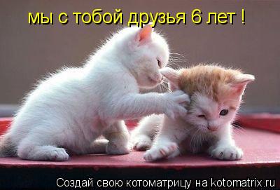 мы с тобой друзья 6 лет 9 месяцев, но давай дружить ещё много лет! мы с тобой друзья 6 лет !... Котоматрица: мы с тобой друзья 6 лет 9 месяцев, но давай дружить ещё много лет! мы с тобой друзья 6 лет !