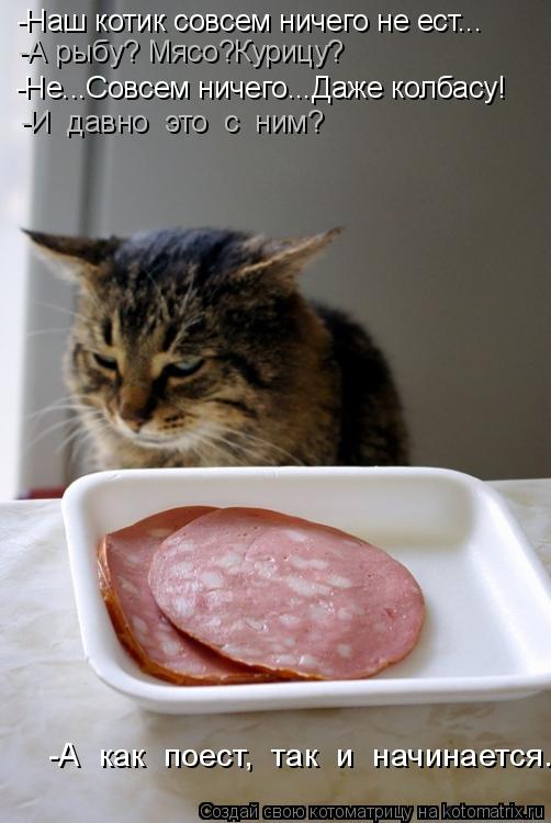 -Наш котик совсем ничего не ест... -А рыбу? Мясо?Курицу? -Не...Совсем ничего...Даже колбасу! -И давн... Котоматрица: -Наш котик совсем ничего не ест... -А рыбу? Мясо?Курицу? -Не...Совсем ничего...Даже колбасу! -И давно это с ним? -А как поест, так и начинае