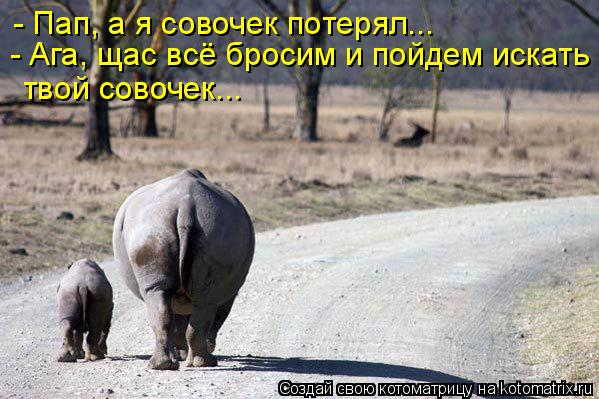 - Пап, а я совочек потерял... - Ага, щас всё бросим и пойдем искать твой совочек...... Котоматрица: - Пап, а я совочек потерял... - Ага, щас всё бросим и пойдем искать твой совочек...