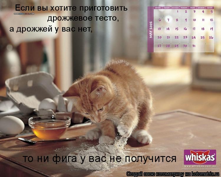 Если вы хотите приготовить дрожжевое тесто, а дрожжей у вас нет, то ни фига у вас не получится... Котоматрица: Если вы хотите приготовить дрожжевое тесто, а дрожжей у вас нет, то ни фига у вас не получится