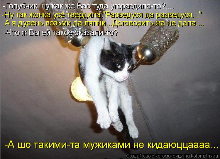 -Голубчик, ну как же Вас туда угораздило-то?.... -Ну так жонка усё твердила:"Разведуся да разведуся..... Котоматрица: -Голубчик, ну как же Вас туда угораздило-то?.... -Ну так жонка усё твердила:"Разведуся да разведуся..." А я,дурень,возьми да ляпни...Договорить жа