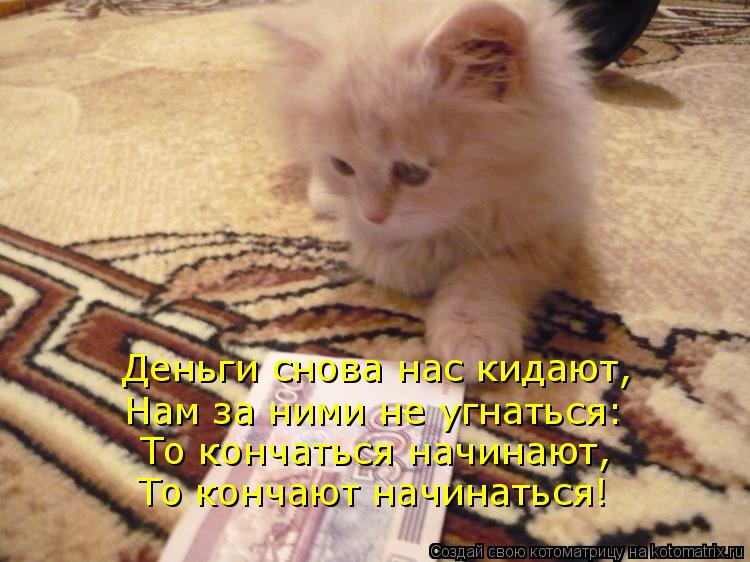 Деньги снова нас кидают, Нам за ними не угнаться: То кончаться начинают, То кончают начинаться!... Котоматрица: Деньги снова нас кидают, Нам за ними не угнаться: То кончаться начинают, То кончают начинаться!