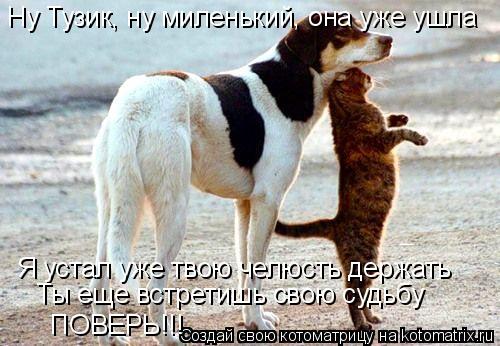 Котоматрица: Ну Тузик, ну миленький, она уже ушла Я устал уже твою челюсть держать Ты еще встретишь свою судьбу ПОВЕРЬ!!!