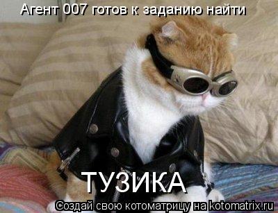 Агент 007 готов к заданию найти ТУЗИКА... Котоматрица: Агент 007 готов к заданию найти ТУЗИКА