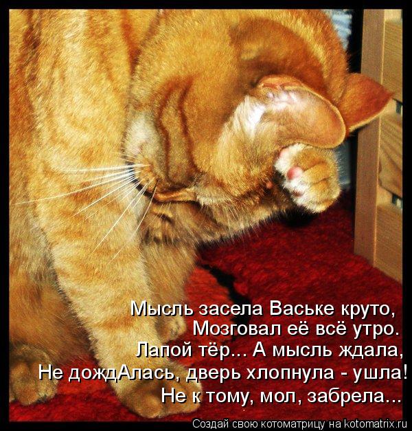 Мысль засела Ваське круто, Мозговал её всё утро. Лапой тёр... А мысль ждала, Не дождАлась, дверь хлоп... Котоматрица: Мысль засела Ваське круто, Мозговал её всё утро. Лапой тёр... А мысль ждала, Не дождАлась, дверь хлопнула - ушла! Не к тому, мол, забрела...