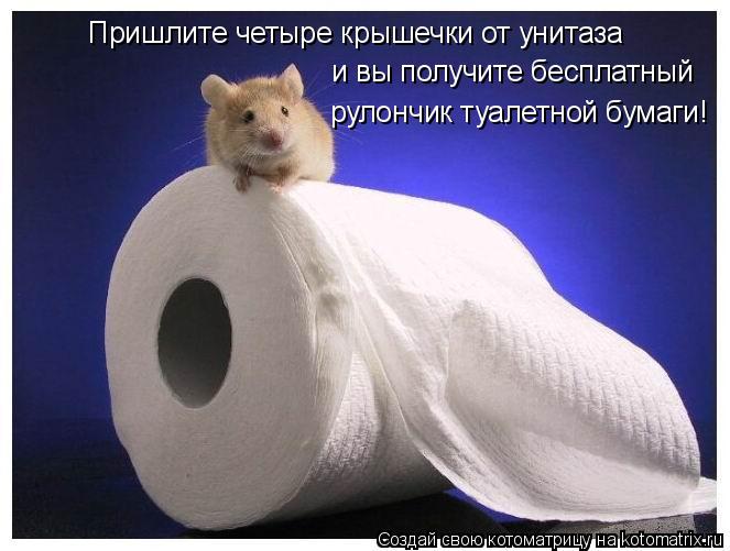 Пришлите четыре крышечки от унитаза и вы получите бесплатный ... Котоматрица: Пришлите четыре крышечки от унитаза и вы получите бесплатный