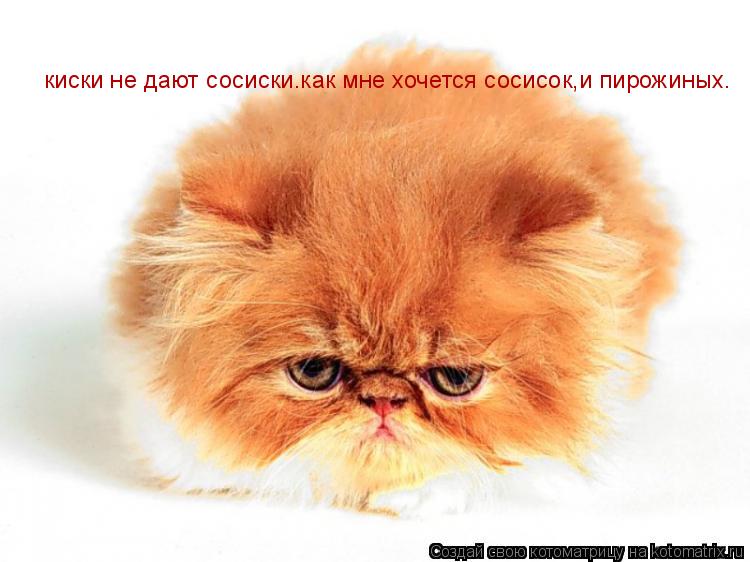 киски не дают сосиски.как мне хочется сосисок,и пирожиных.... Котоматрица: киски не дают сосиски.как мне хочется сосисок,и пирожиных.