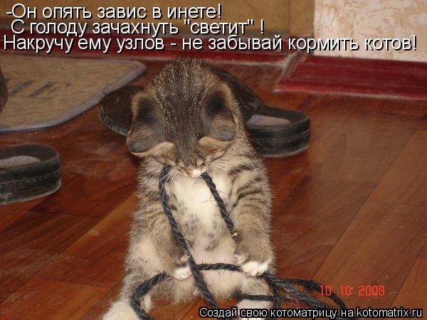 Котоматрица: -Он опять завис в инете!  С голоду зачахнуть "светит" ! Накручу ему узлов - не забывай кормить котов!
