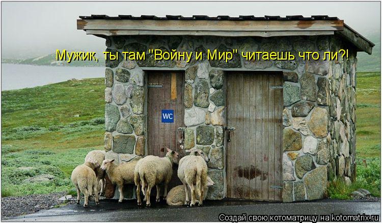 Мужик, ты там "Войну и Мир" читаешь что ли?!... Котоматрица: Мужик, ты там "Войну и Мир" читаешь что ли?!