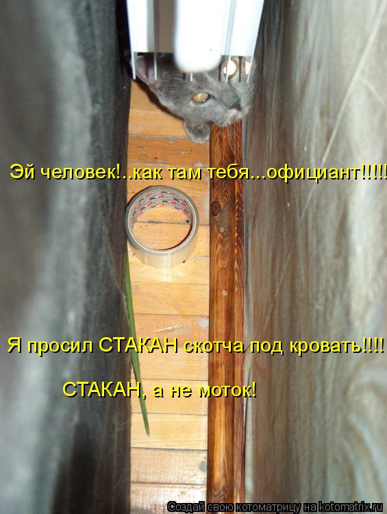 Я просил СТАКАН скотча под кровать!!!! СТАКАН, а не моток! Эй человек!..как там тебя...официант!!!!!... Котоматрица: Я просил СТАКАН скотча под кровать!!!! СТАКАН, а не моток! Эй человек!..как там тебя...официант!!!!!