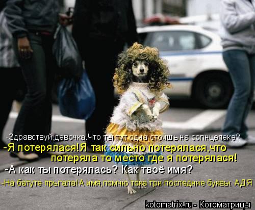 -Здравствуй,девочка.Что ты тут одна стоишь на солнцепеке? -Я потерялася!Я так сильно потерялася,что ... Котоматрица: -Здравствуй,девочка.Что ты тут одна стоишь на солнцепеке? -Я потерялася!Я так сильно потерялася,что потеряла то место где я потерялася! -А к