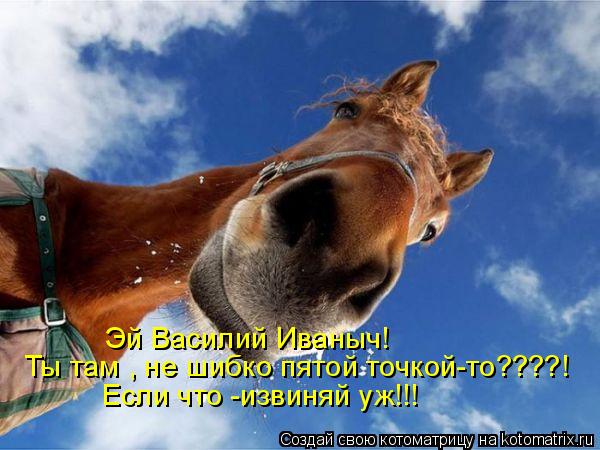 Эй Василий Иваныч! Ты там , не шибко пятой точкой-то????! Если что -извиняй уж!!!... Котоматрица: Эй Василий Иваныч! Ты там , не шибко пятой точкой-то????! Если что -извиняй уж!!!