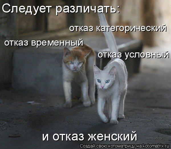 Следует различать: отказ категорический отказ временный отказ условный и отказ женский... Котоматрица: Следует различать: отказ категорический отказ временный отказ условный и отказ женский