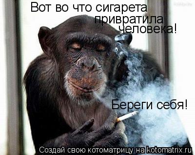 Котоматрица: Вот во что сигарета привратила человека! Береги себя!