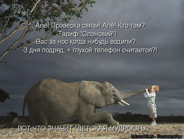 -Алё! Проверка связи! Алё! Кто там? -Тариф "Слоновий"! -Вас за нос когда нибудь водили? -3 дня подряд... Котоматрица: -Алё! Проверка связи! Алё! Кто там? -Тариф "Слоновий"! -Вас за нос когда нибудь водили? -3 дня подряд, + глухой телефон считается?! ВОТ ЧТО ЗНАЧИТ "