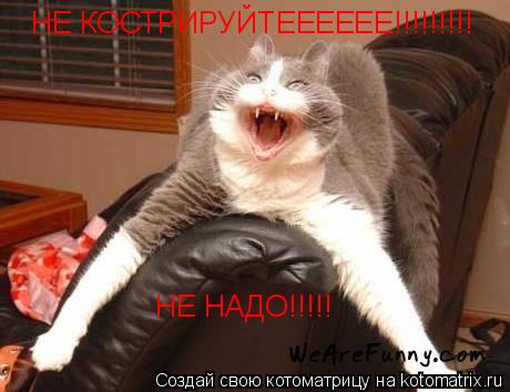 НЕ КОСТРИРУЙТЕЕЕЕЕЕ!!!!!!!!! НЕ НАДО!!!!!... Котоматрица: НЕ КОСТРИРУЙТЕЕЕЕЕЕ!!!!!!!!! НЕ НАДО!!!!!