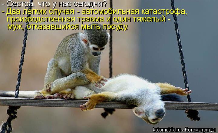 - Сестра, что у нас сегодня? - Два легких случая - автомобильная катастрофа, производственная травма... Котоматрица: - Сестра, что у нас сегодня? - Два легких случая - автомобильная катастрофа, производственная травма и один тяжелый - муж, отказавшийся мыть