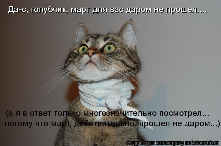 Котоматрица: Да-с, голубчик, март для вас даром не прошел.... (а я в ответ только многозначительно посмотрел... потому что март, действительно, прошел не дар