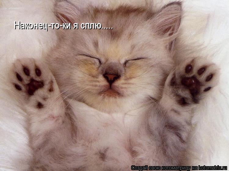 Котоматрица: Наконец-то-ки я сплю.....