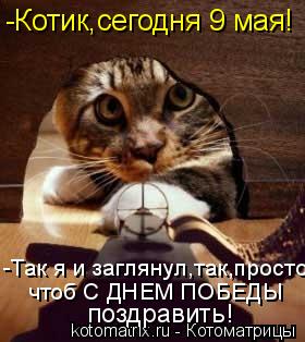 Котоматрица: поздравить! -Котик,сегодня 9 мая! -Так я и заглянул,так,просто  чтоб С ДНЕМ ПОБЕДЫ