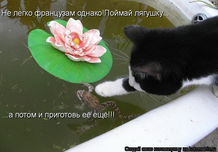 Котоматрица: Не легко французам однако!Поймай лягушку... ...а потом и приготовь её ещё!!!