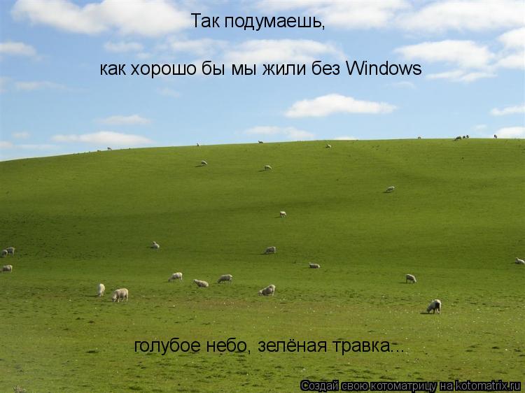Так подумаешь, как хорошо бы мы жили без Windows голубое небо, зелёная травка...... Котоматрица: Так подумаешь, как хорошо бы мы жили без Windows голубое небо, зелёная травка...