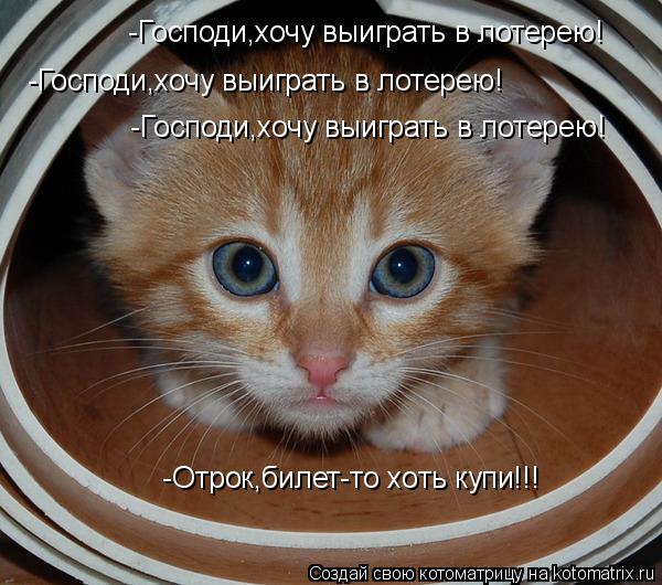Котоматрица: -Господи,хочу выиграть в лотерею! -Господи,хочу выиграть в лотерею! -Господи,хочу выиграть в лотерею!  -Отрок,билет-то хоть купи!!!
