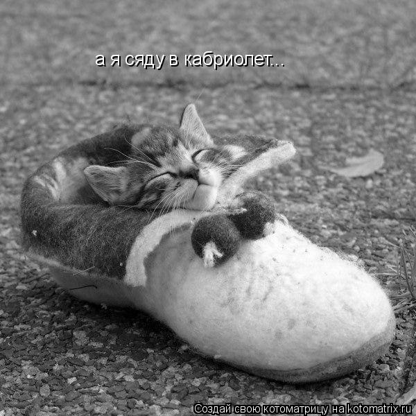 Котоматрица: а я сяду в кабриолет...