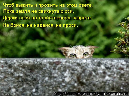 Чтоб выжить и прожить на этом свете, Пока земля не свихнута с оси, Держи себя на тройственном запре... Котоматрица: Чтоб выжить и прожить на этом свете, Пока земля не свихнута с оси, Держи себя на тройственном запрете: Не бойся, не надейся, не проси.
