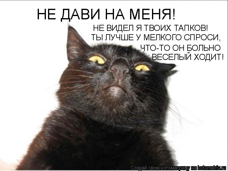 Котоматрица: НЕ ДАВИ НА МЕНЯ! НЕ ВИДЕЛ Я ТВОИХ ТАПКОВ! ТЫ ЛУЧШЕ У МЕЛКОГО СПРОСИ, ЧТО-ТО ОН БОЛЬНО  ВЕСЕЛЫЙ ХОДИТ!