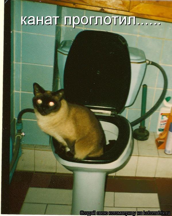 канат проглотил......... Котоматрица: канат проглотил......