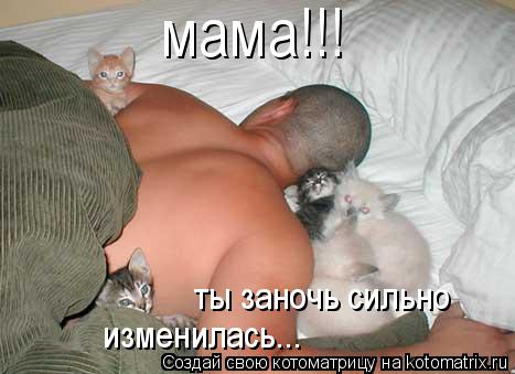 мама!!! ты заночь сильно изменилась...... Котоматрица: мама!!! ты заночь сильно изменилась...