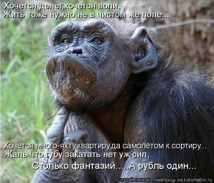 Хочется денег,хочется воли, Жить тоже нужно не в чистом же поле... Хочется много-яхту,квартиру,да с... Котоматрица: Хочется денег,хочется воли, Жить тоже нужно не в чистом же поле... Хочется много-яхту,квартиру,да самолётом к сортиру... Жаль что губу заката