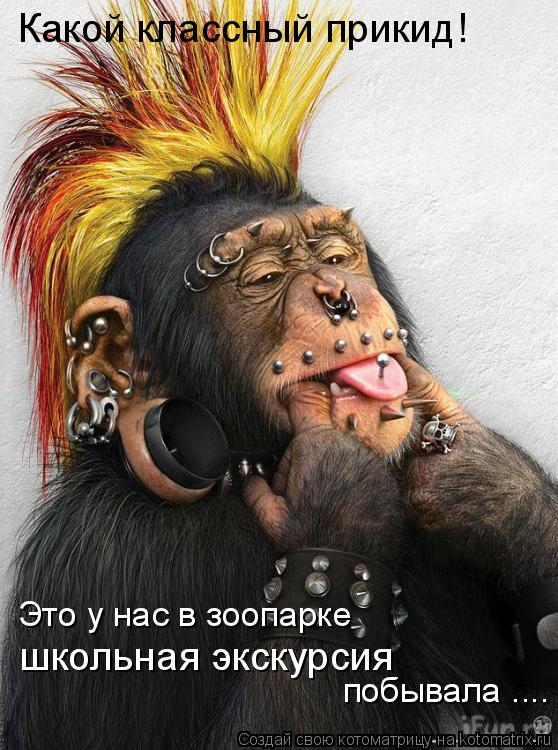 побывала .... Это у нас в зоопарке Какой классный прикид! школьная экскурсия... Котоматрица: побывала .... Это у нас в зоопарке Какой классный прикид! школьная экскурсия