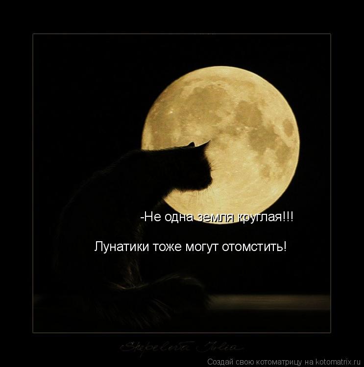 -Не одна земля круглая!!! Лунатики тоже могут отомстить!... Котоматрица: -Не одна земля круглая!!! Лунатики тоже могут отомстить!