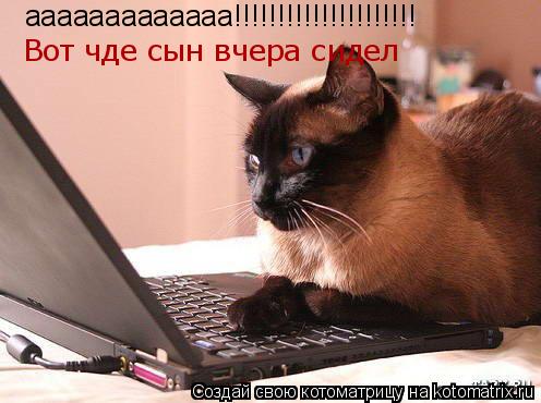 aaaaaaaaaaaaa!!!!!!!!!!!!!!!!!!!!! Вот чде сын вчера сидел... Котоматрица: aaaaaaaaaaaaa!!!!!!!!!!!!!!!!!!!!! Вот чде сын вчера сидел