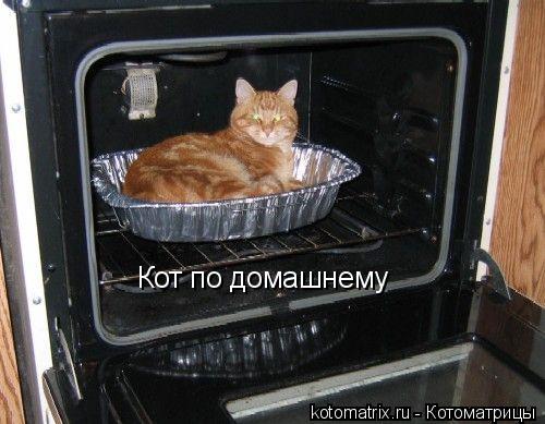 Кот по домашнему... Котоматрица: Кот по домашнему