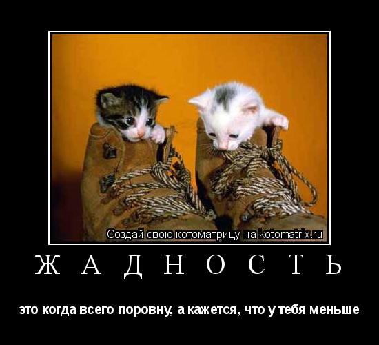 Ж А Д Н О С Т Ь это когда всего поровну, а кажется, что у тебя меньше... Котоматрица: Ж А Д Н О С Т Ь это когда всего поровну, а кажется, что у тебя меньше