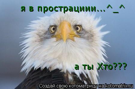 я в прострациии...^_^ а ты Хто???... Котоматрица: я в прострациии...^_^ а ты Хто???