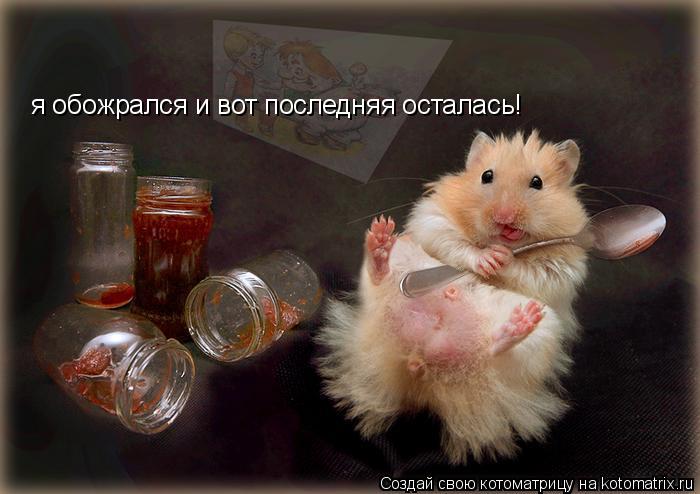 я обожрался и вот последняя осталась!... Котоматрица: я обожрался и вот последняя осталась!