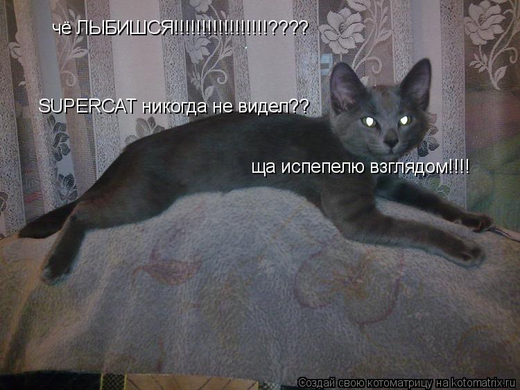 Котоматрица: чё ЛЫБИШСЯ!!!!!!!!!!!!!!!!!???? SUPERCAT никогда не видел?? ща испепелю взглядом!!!!