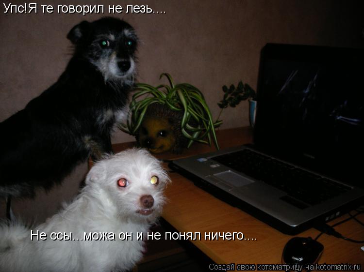 Котоматрица: Упс!Я те говорил не лезь.... Не ссы...можа он и не понял ничего....