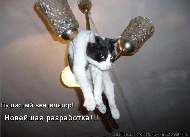 Новейшая разработка!!! Пушистый вентилятор!... Котоматрица: Новейшая разработка!!! Пушистый вентилятор!