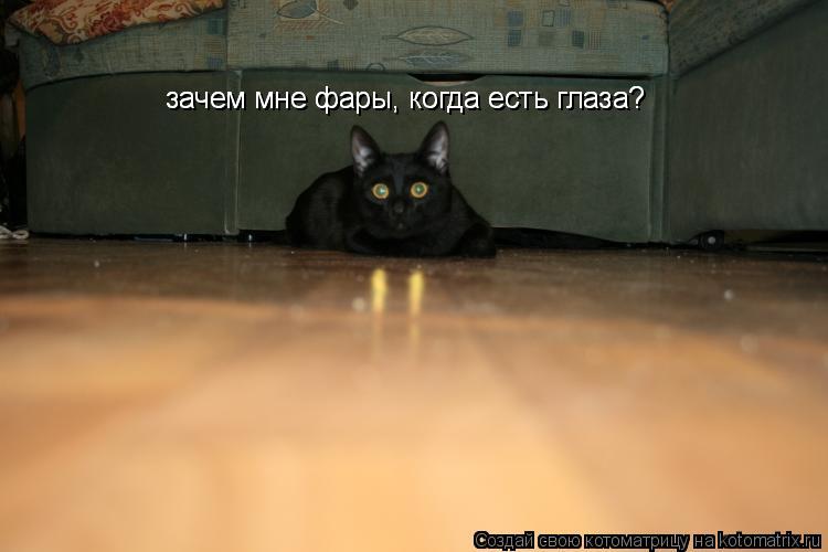 Котоматрица: зачем мне фары, когда есть глаза? зачем мне фары, когда есть глаза?