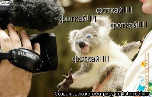 фоткай!!!! фоткай!!!! фоткай!!!! фоткай!!!!... Котоматрица: фоткай!!!! фоткай!!!! фоткай!!!! фоткай!!!!