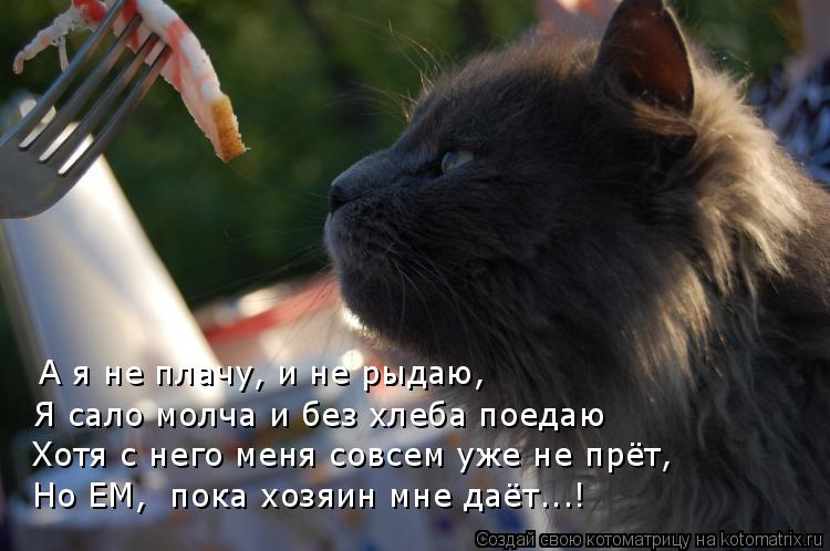 А я не плачу, и не рыдаю, Я сало молча и без хлеба поедаю Хотя с него меня совсем уже не прёт, Но Е... Котоматрица: А я не плачу, и не рыдаю, Я сало молча и без хлеба поедаю Хотя с него меня совсем уже не прёт, Но ЕМ, пока хозяин мне даёт...!