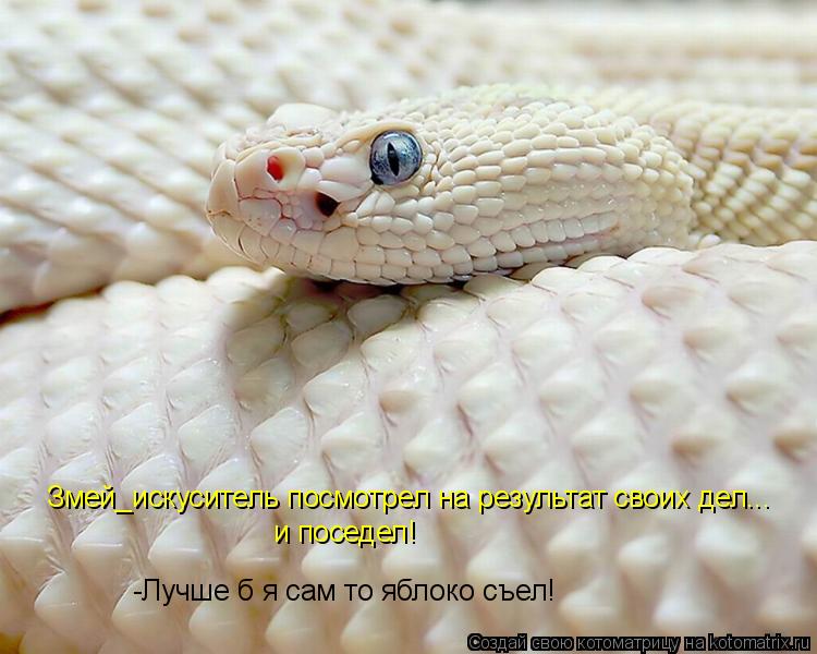 и поседел! -Лучше б я сам то яблоко съел! Змей_искуситель посмотрел на результат своих дел...... Котоматрица: и поседел! -Лучше б я сам то яблоко съел! Змей_искуситель посмотрел на результат своих дел...