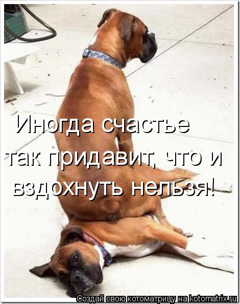 Иногда счастье так придавит, что и вздохнуть нельзя!... Котоматрица: Иногда счастье так придавит, что и вздохнуть нельзя!
